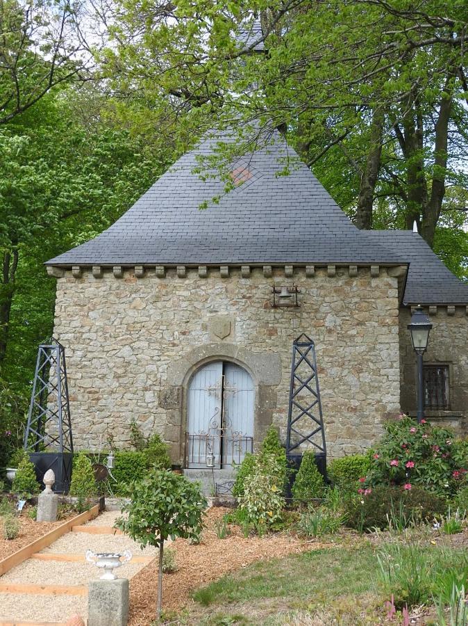 Chateau De Montbrault Fleurigné Exterior foto